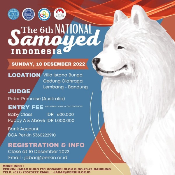 Samoyed National Indonesia Dogshow