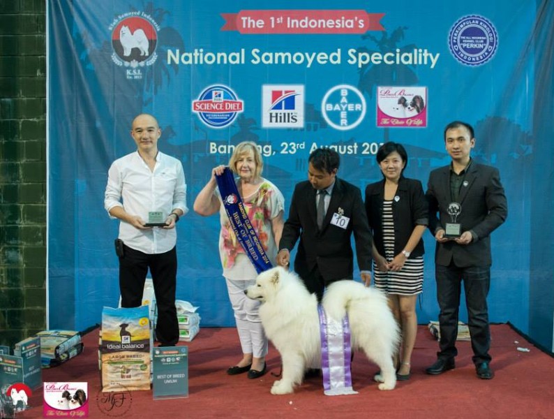 Dogshow Bandung