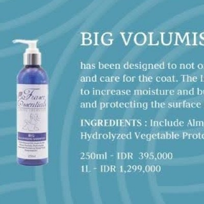 BIG VOLUMISING SHAMPOO