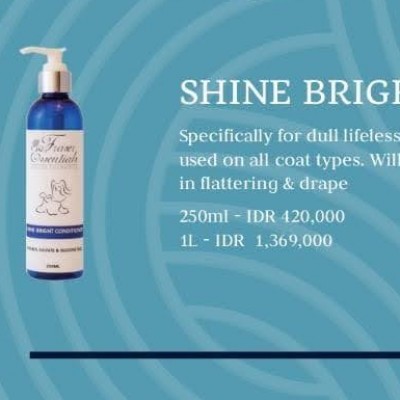 SHINE BRIGHT CONDITIONER SHINE BRIGHT CONDITIONER