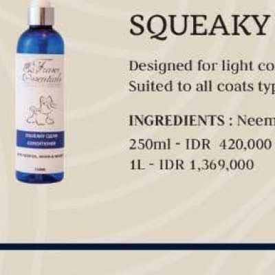 SQUEAKY CLEAN CONDITIONER