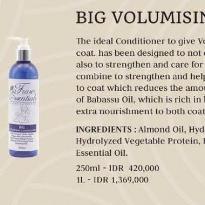 BIG VOLUMISING CONDITIONER