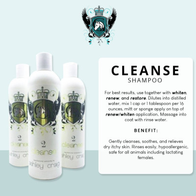Ashley Craig 2 Shampoo Cleanse-500ml