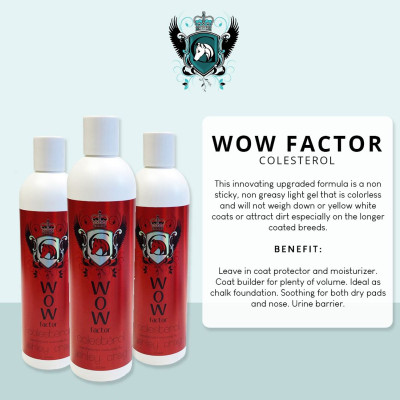 Ashley Craig WOW Factor Colesterol- 500ml