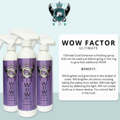 Ashley Craig WOW Factor Ultimate Spray-500ml